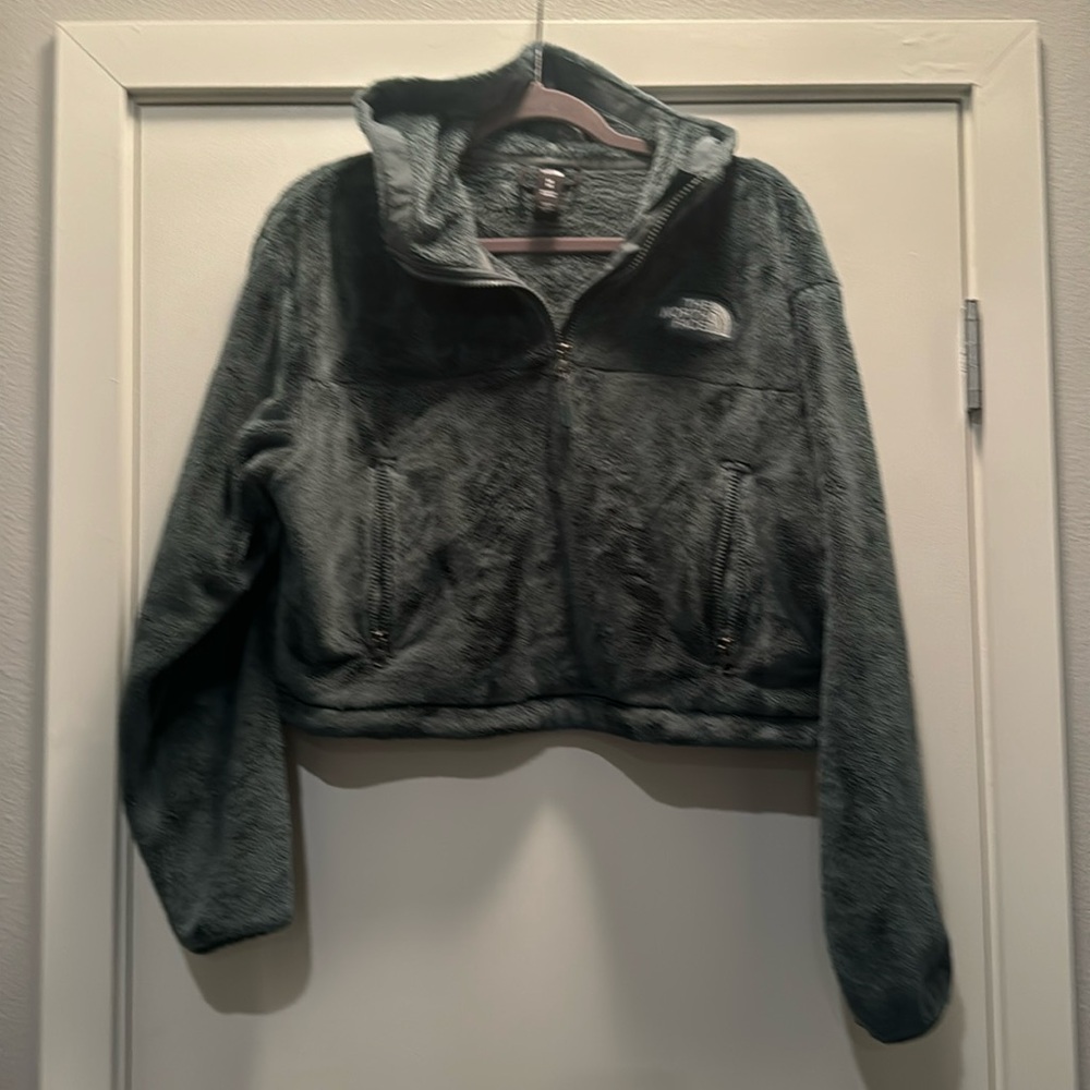 The North Face cropped hoodie.